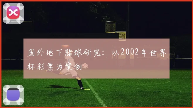 国外地下赌球研究：以2002年世界杯彩票为案例