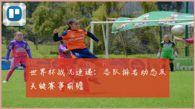 世界杯战况速递：各队排名动态及关键赛事前瞻