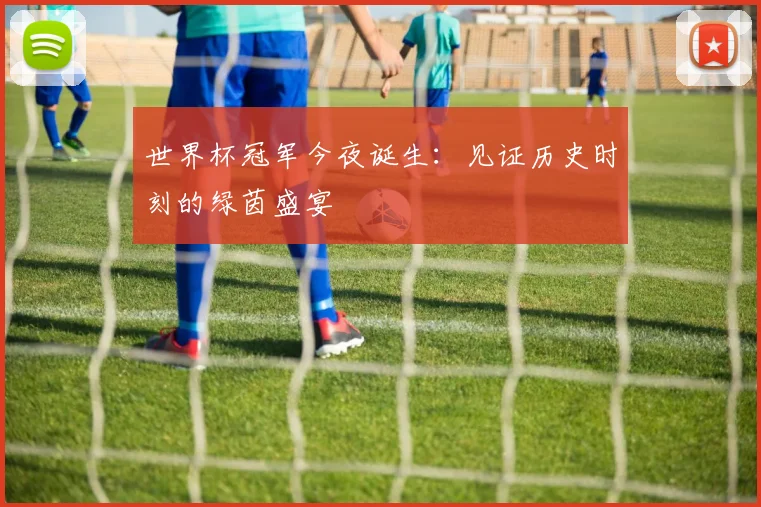 世界杯冠军今夜诞生:见证历史时刻的绿茵盛宴